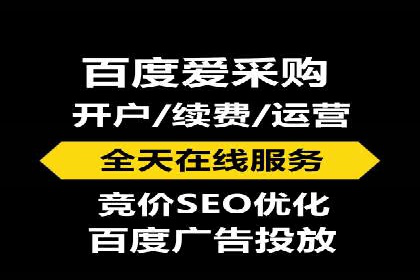 推广竞价策略优化：借鉴成功案例实现高效转化